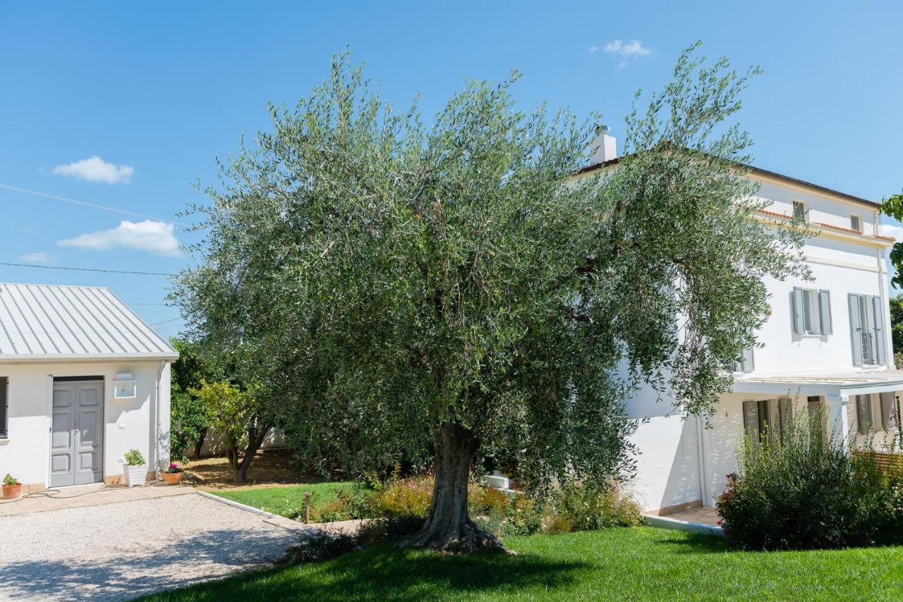 B&B Casale Savini Ортона Экстерьер фото